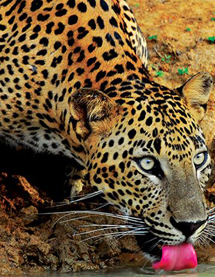 Wildlife Sanctuary Visit