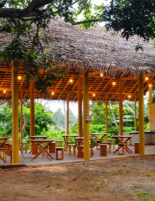 Farm-to-Table Culinary Experience