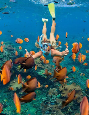 Snorkeling & Coral Reef Exploration