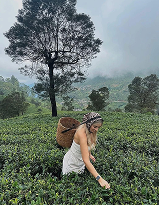 Tea Plantation Visit