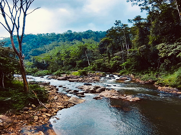 Sinharaja Rain Forest