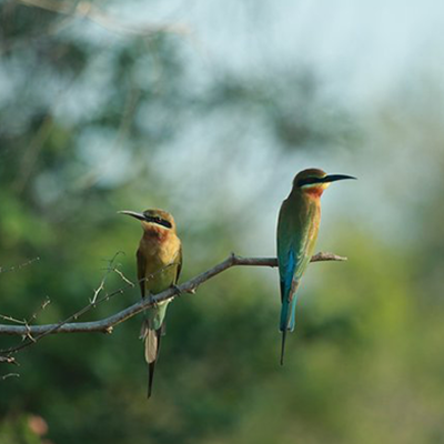 activty img slider Image