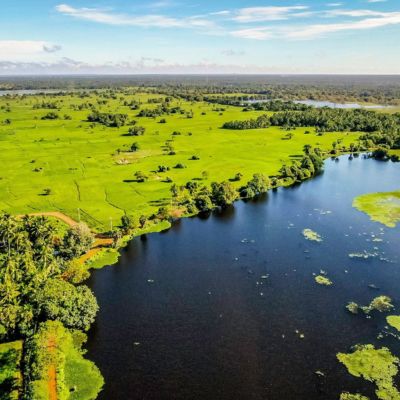 Ancient Tank System & Ecosystem Confluence
