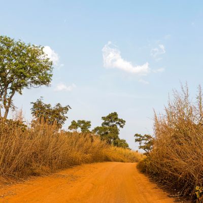 Rich Flora & Wildlife