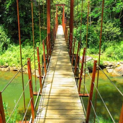 Primary Lowland Rainforest & Canopy Walks