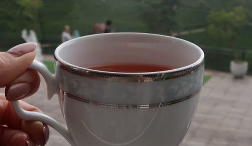 activty img slider Image